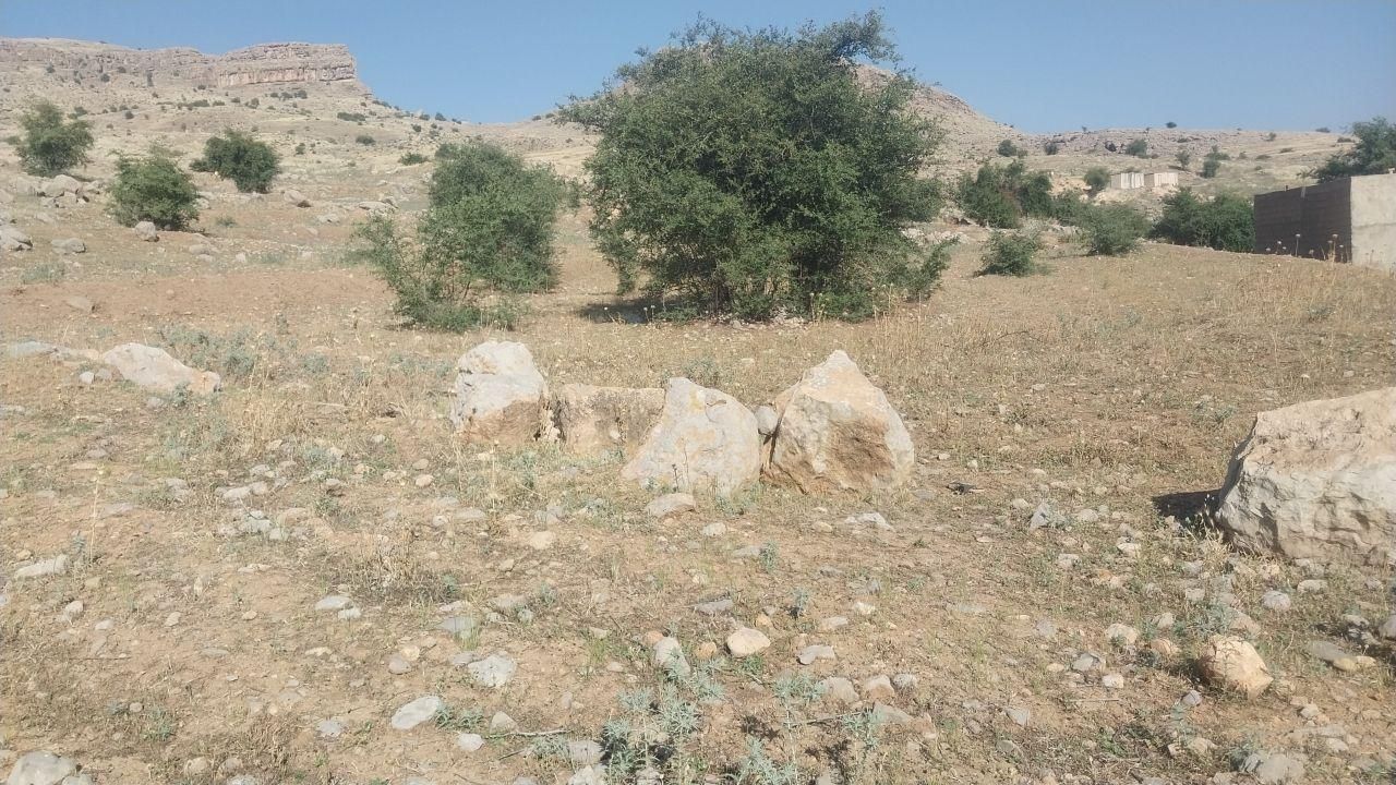 فروش زمین ۲۰۰۰ متری شهرک عمارت دهنو  باشرایط اقساط|فروش زمین و ملک کلنگی|رستم, |دیوار