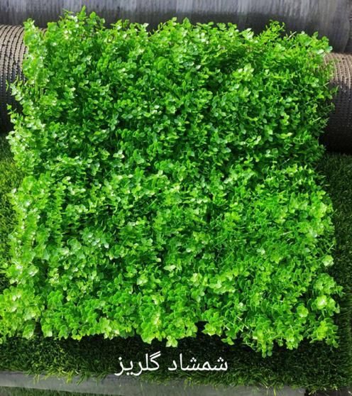 گرین وال دیوار سبز فنس برگی فنس چمنی اکاردئونی|مصالح و تجهیزات ساختمان|اصفهان, باغ گلها|دیوار