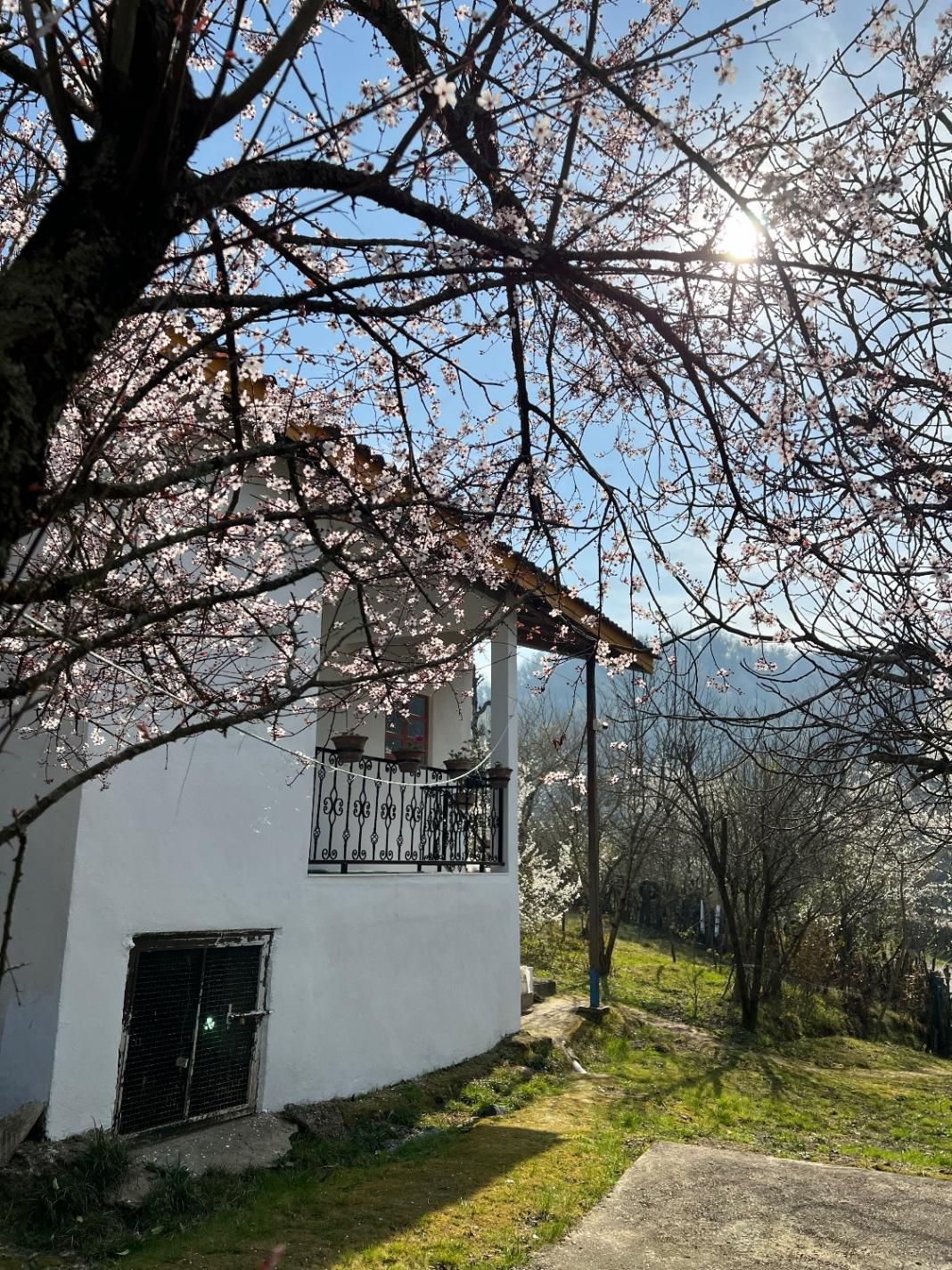 اجاره ویلای روستایی|اجارهٔ کوتاه‌مدت ویلا و باغ|آستارا, |دیوار