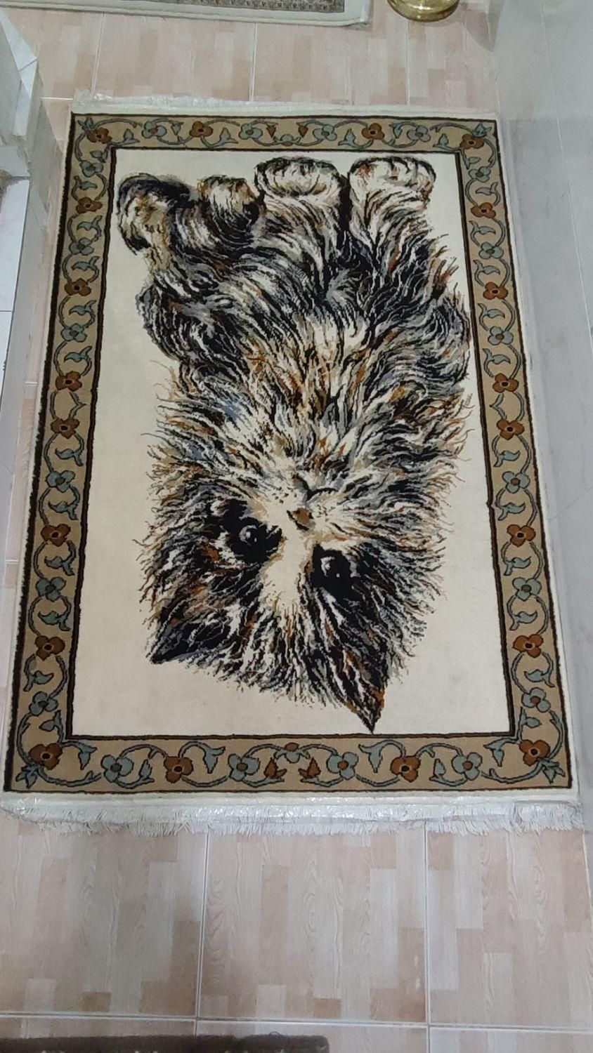 فرش|فرش|رباطکریم, رباطکریم|دیوار