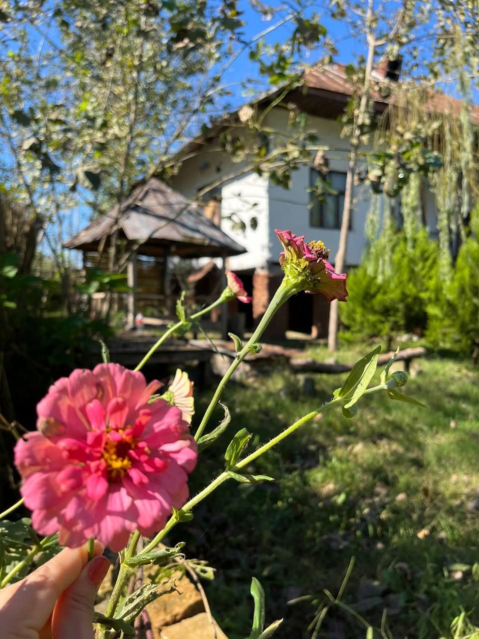 اجاره روزانه/هفتگی/ماهانه ویلا ۱۳۰ متری در طالقانی|اجارهٔ کوتاهمدت ویلا و باغ|لاهیجان, طالقانی|دیوار