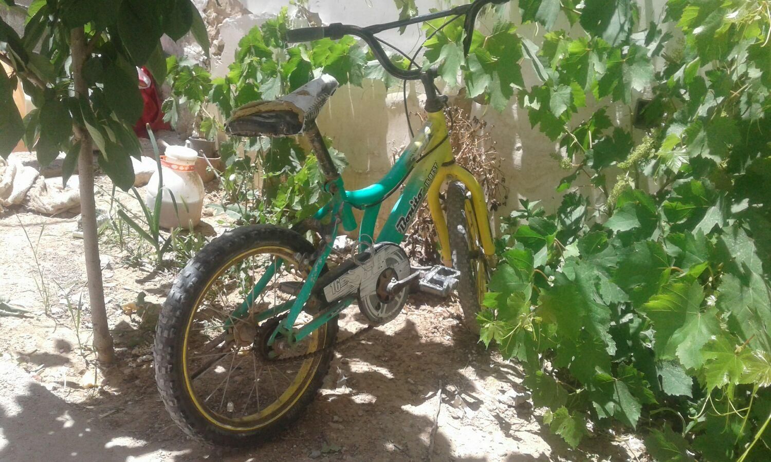 دوچرخه 16|دوچرخه، اسکیت، اسکوتر|بجنورد, |دیوار