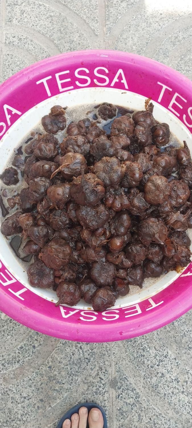 سیرترشی ۸ ساله ارگانیک تضمینی|خوردنی و آشامیدنی|کرج, آق تپه|دیوار