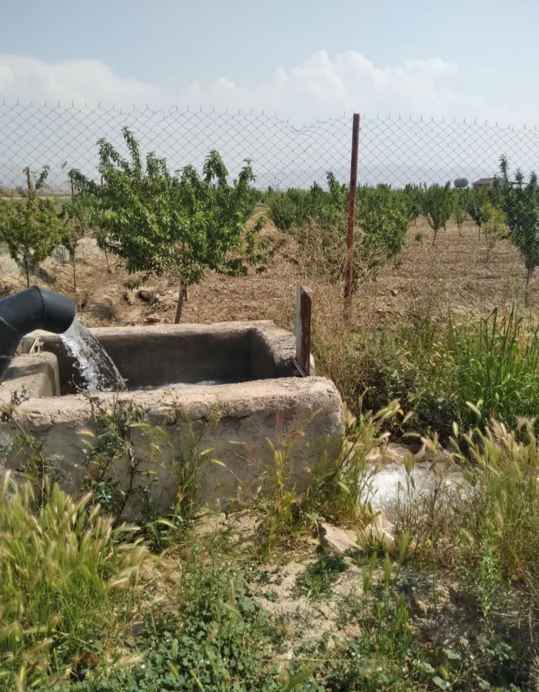 زمین زراعی مناسب باغچه و گلخانه|فروش زمین و ملک کلنگی|نظرآباد, نجم آباد|دیوار