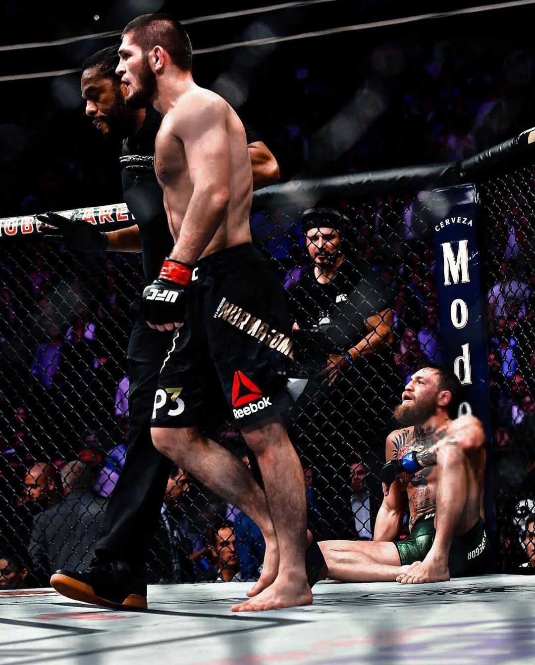 باشگاه تخصصی MMA و جوجیستو bjjو کاراته mfc|خدمات آموزشی|اردبیل, |دیوار