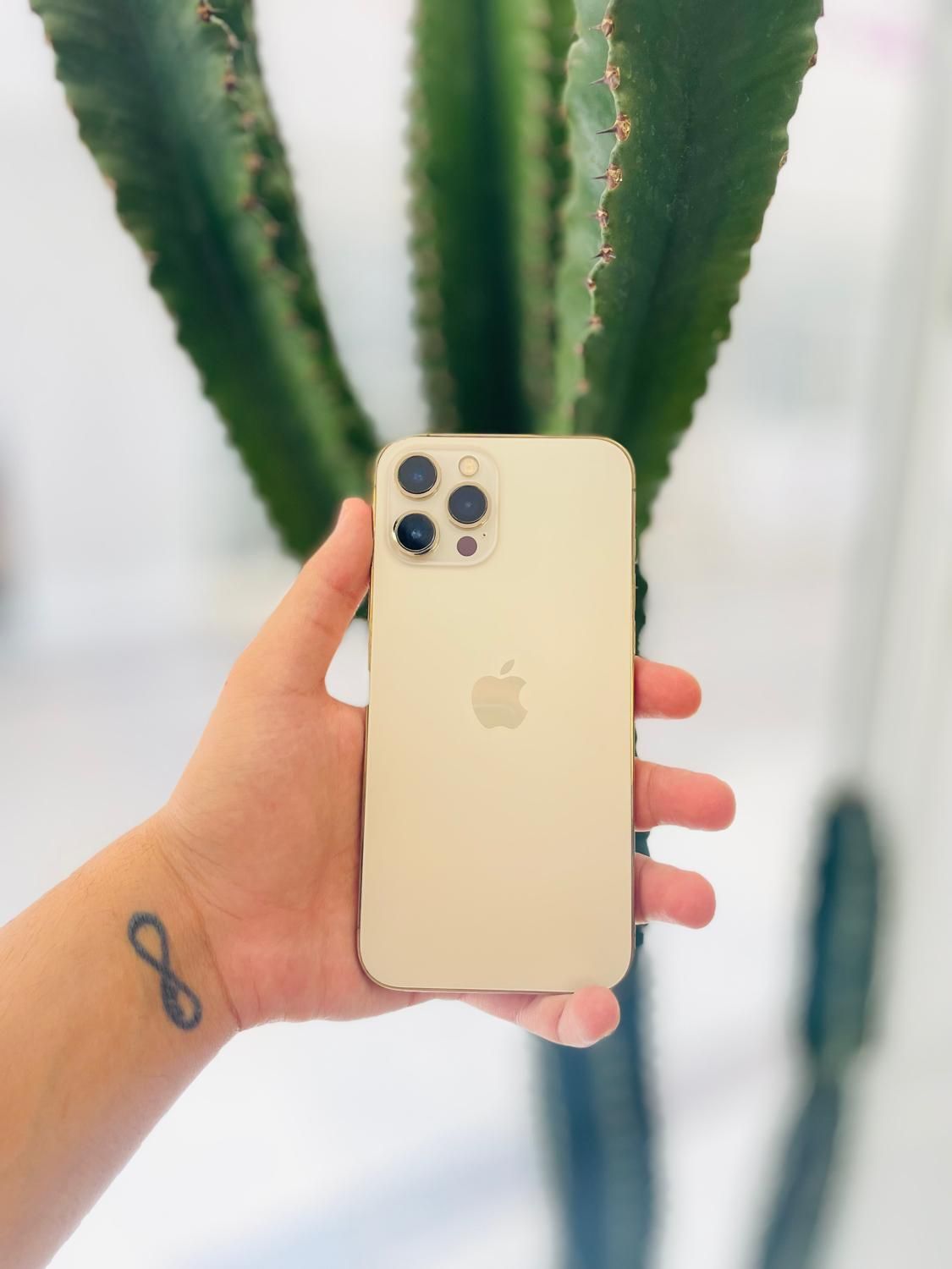 اپل iPhone 12 Pro Max  فروش با چک صیادی|موبایل|شیراز, زند|دیوار
