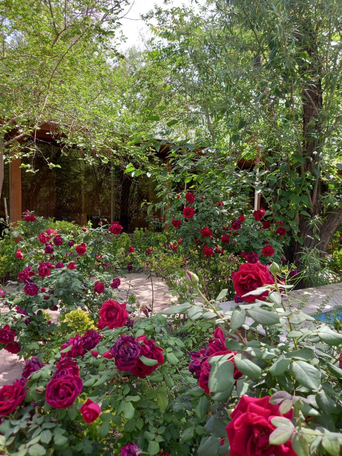 زمین ( مجتمع کشاورزی عصر کمیل )|فروش دفتر صنعتی، کشاورزی، تجاری|خاوران, |دیوار