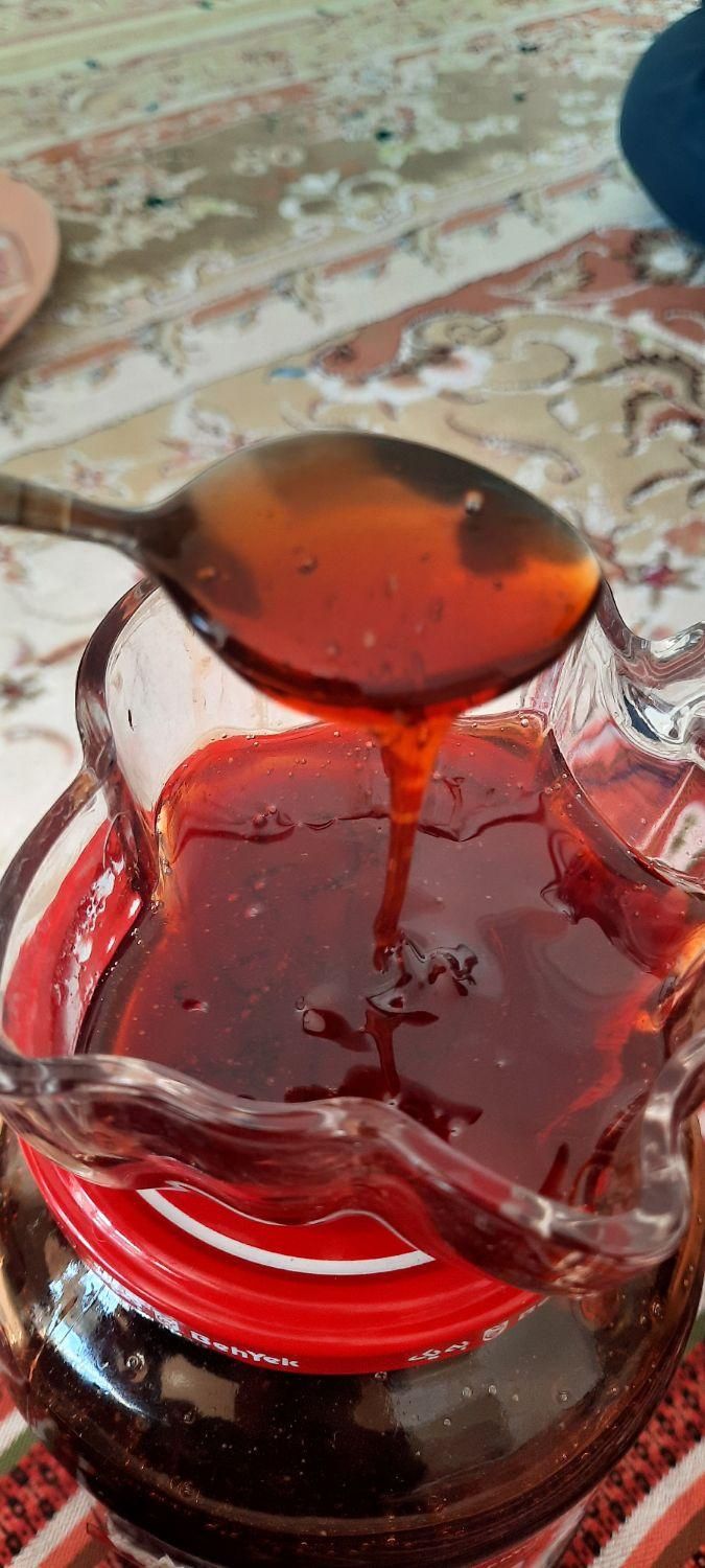 شیره سیب ارگانیک|خوردنی و آشامیدنی|اصفهان, شهرستان|دیوار