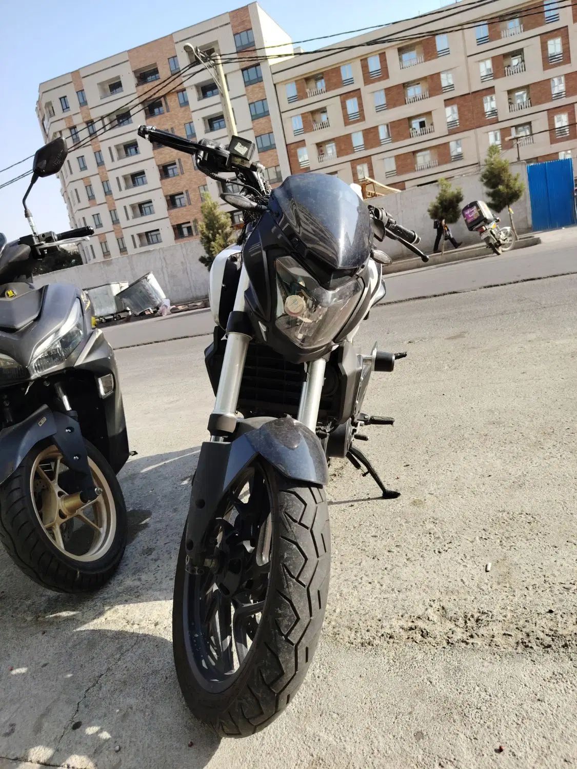 باجاج دومینور 250cc|موتورسیکلت|تهران, باشگاه نفت|دیوار