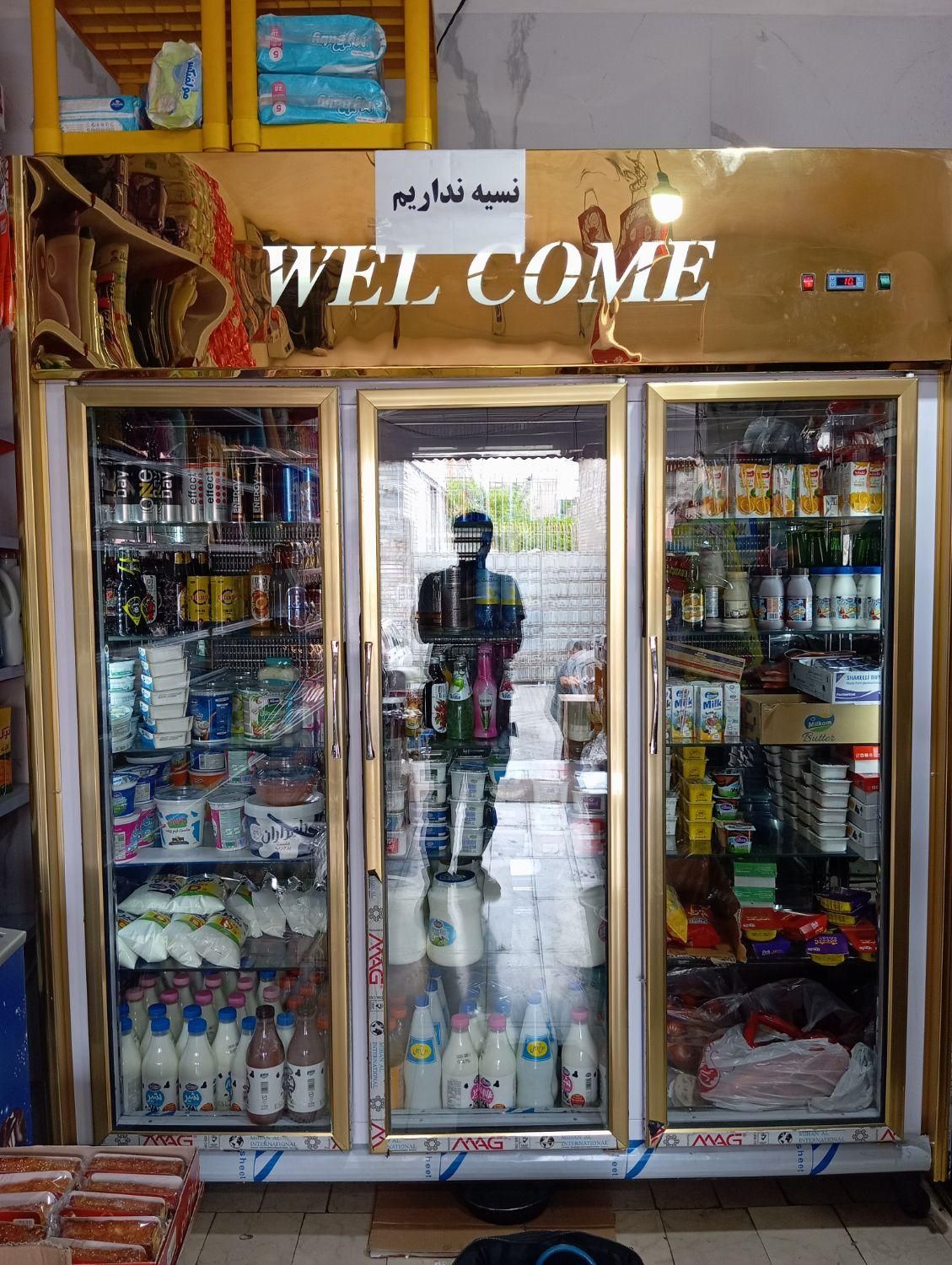 تعمیر راه اندازی سرویس شارژ گاز یخچال فریزر شوکیک|خدمات پیشه و مهارت|تهران, فلسطین (میدان انقلاب)|دیوار