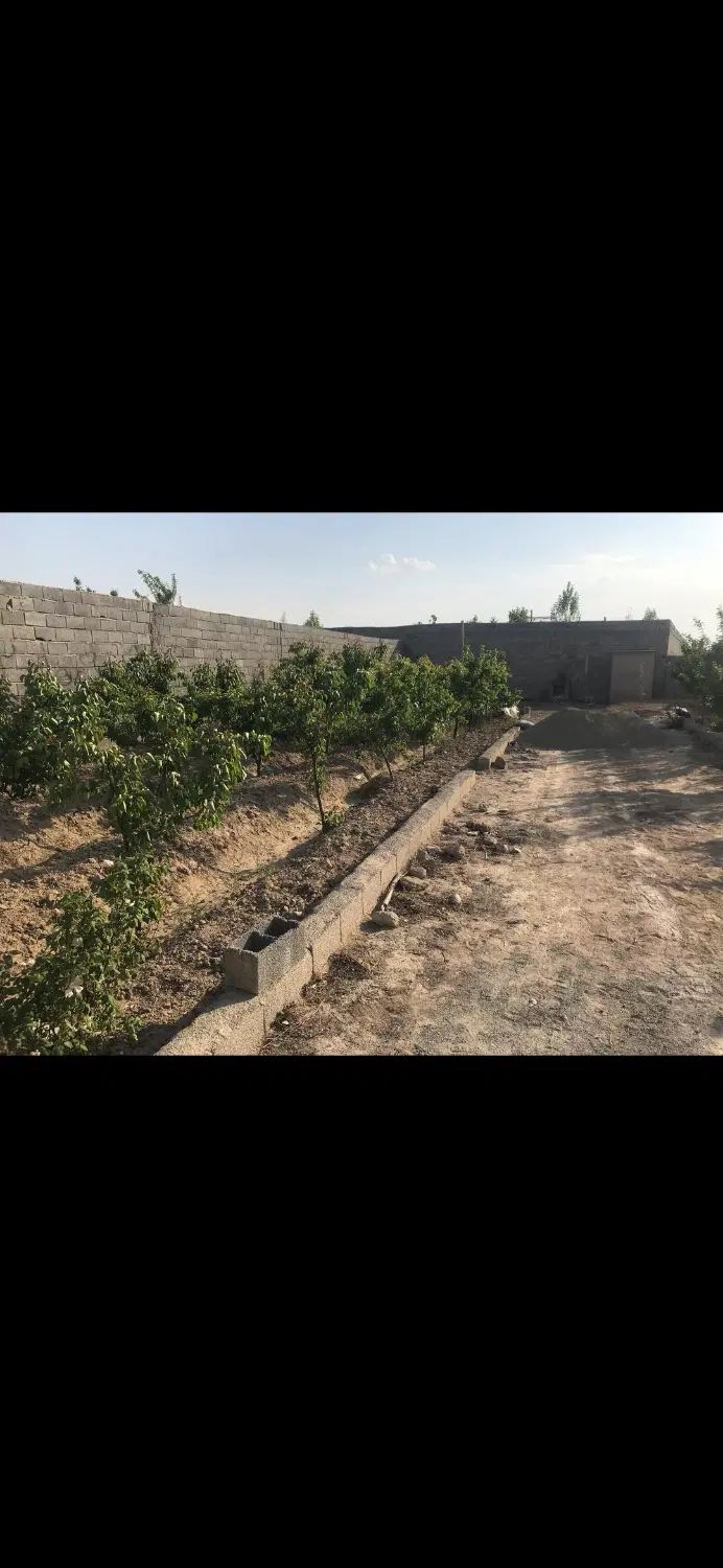 250 متر باغچه با نهال های جوان در منطقه شهریار|فروش دفتر صنعتی، کشاورزی، تجاری|فردوسیه, |دیوار