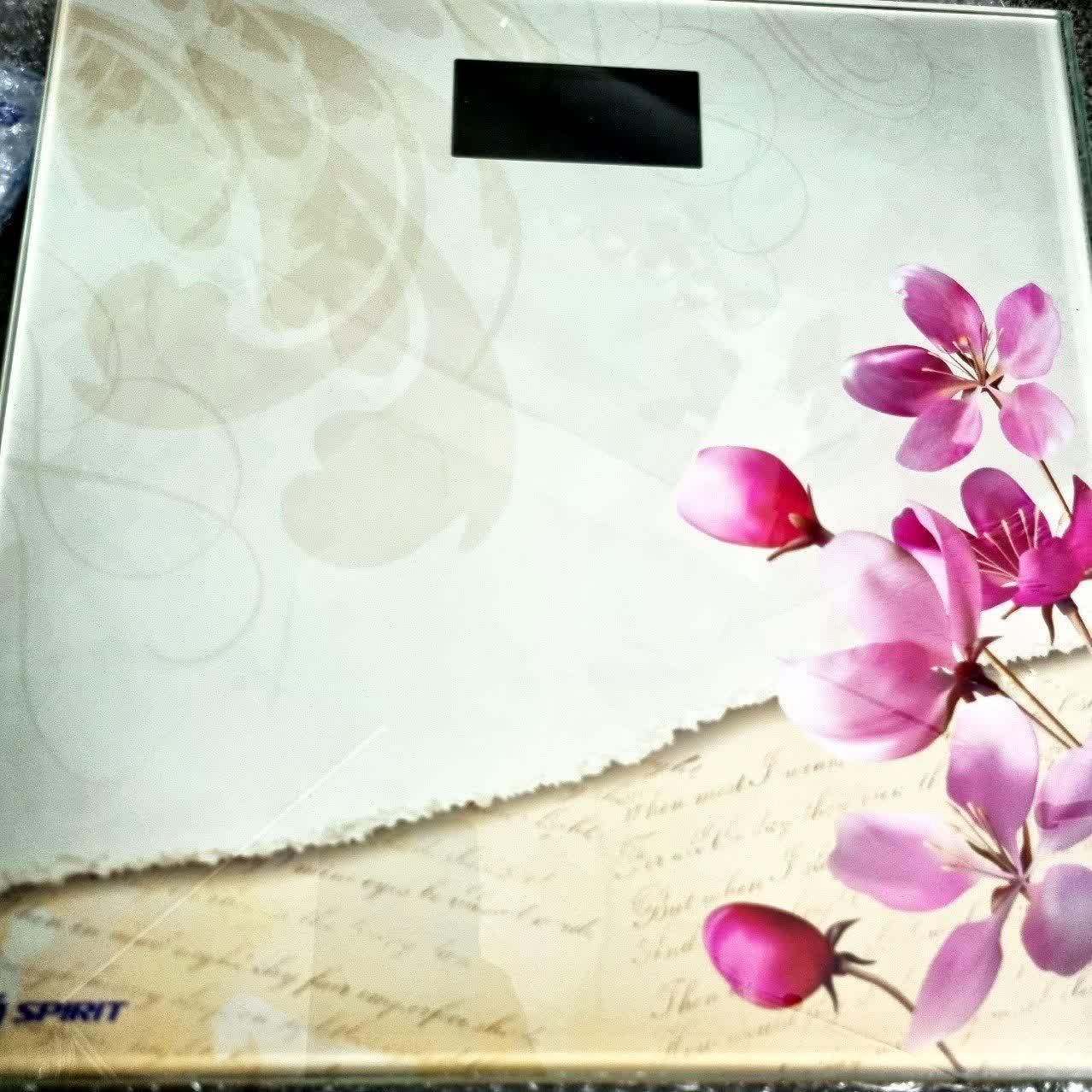 ترازوی وزن کشی  ضمانت 1ساله|تجهیزات ورزشی|قم, آزادگان|دیوار