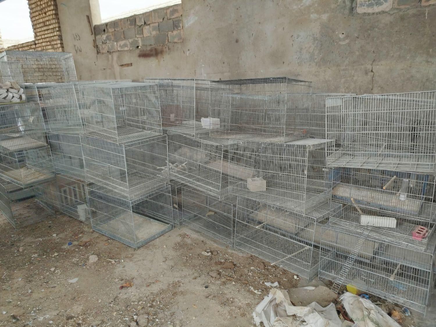 قفس قناری|لوازم جانبی حیوانات|اصفهان, ارغوانیه|دیوار