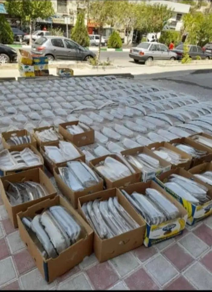 طلق و چراغ ۲۰۷ دناپلاس تارا جک سورن همه ماشینها|قطعات یدکی و لوازم جانبی|تهران, مسعودیه|دیوار
