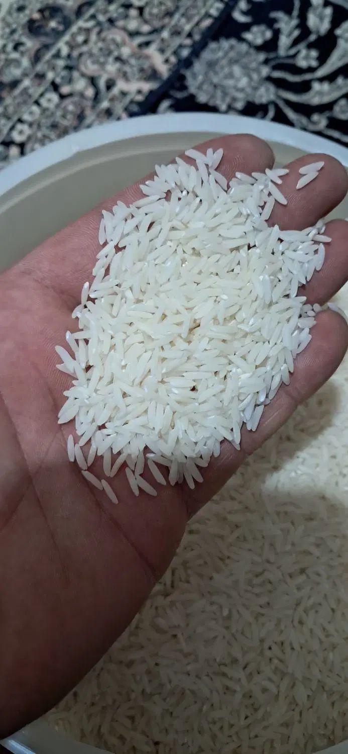 برنج هاشمی درجه یک صادراتی|خوردنی و آشامیدنی|تهران, سلیمانی|دیوار