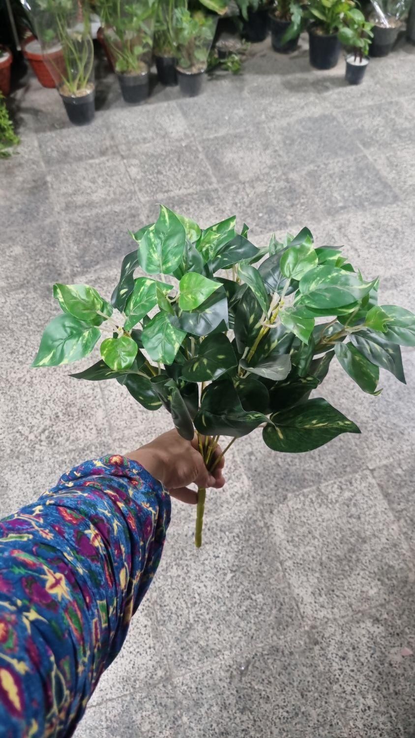 بوته های برگ مصنوعی خارجی|گل مصنوعی|فردیس, فردیس|دیوار