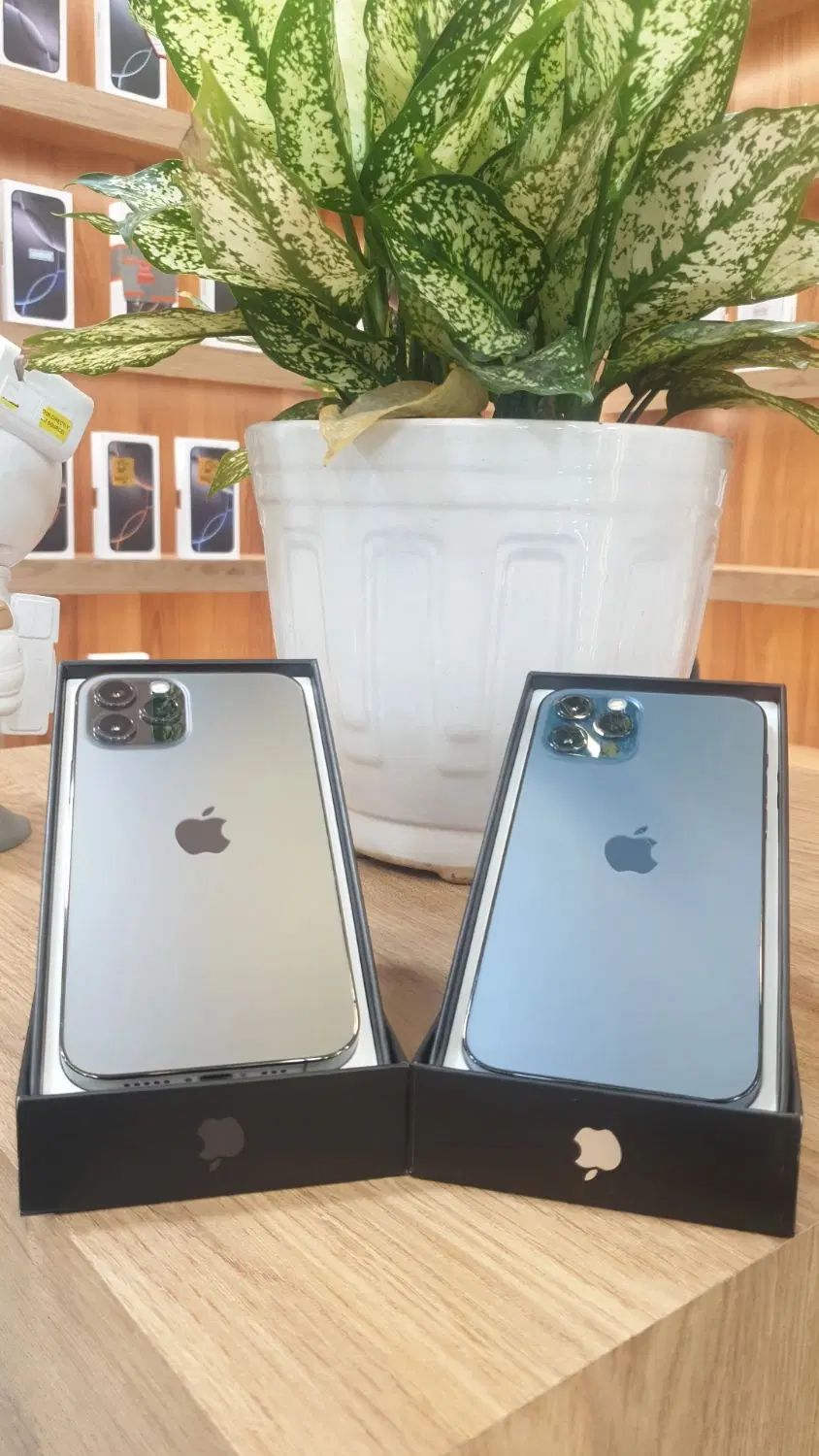اپل iPhone 12 Pro با حافظهٔ ۲۵۶ گیگابایت|موبایل|تهران, تهرانپارس غربی|دیوار