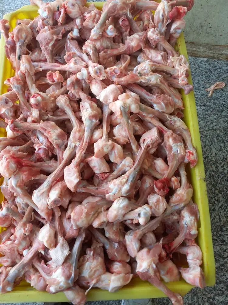اسکلت مرغ   غذای سگ|لوازم جانبی حیوانات|کرج, ملک‌آباد|دیوار