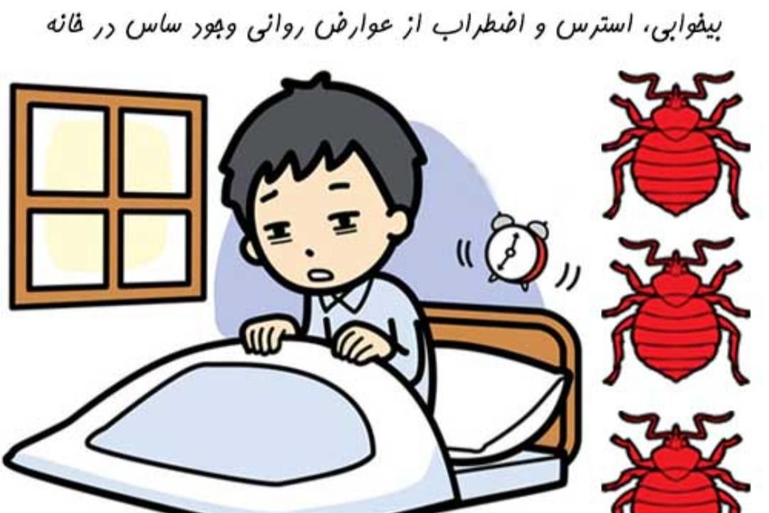 شرکت سمپاشی نمونه بندر|خدمات نظافت|بندرعباس, |دیوار