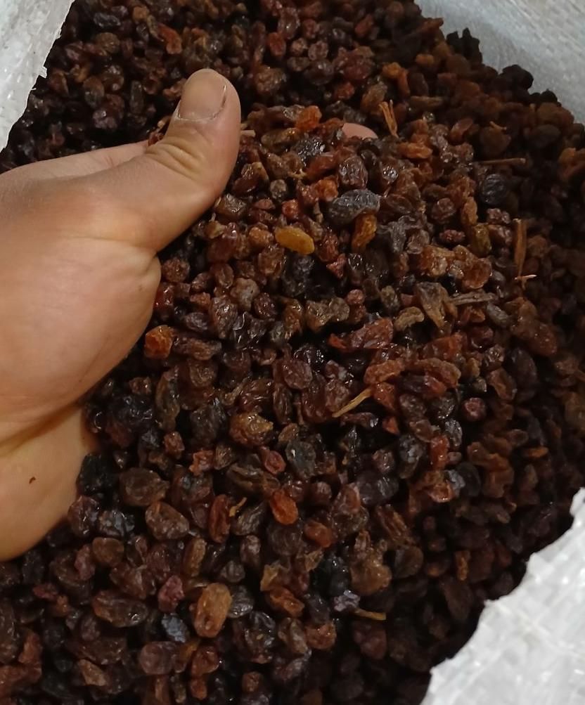 کشمش آبگیری|خوردنی و آشامیدنی|ابهر, |دیوار