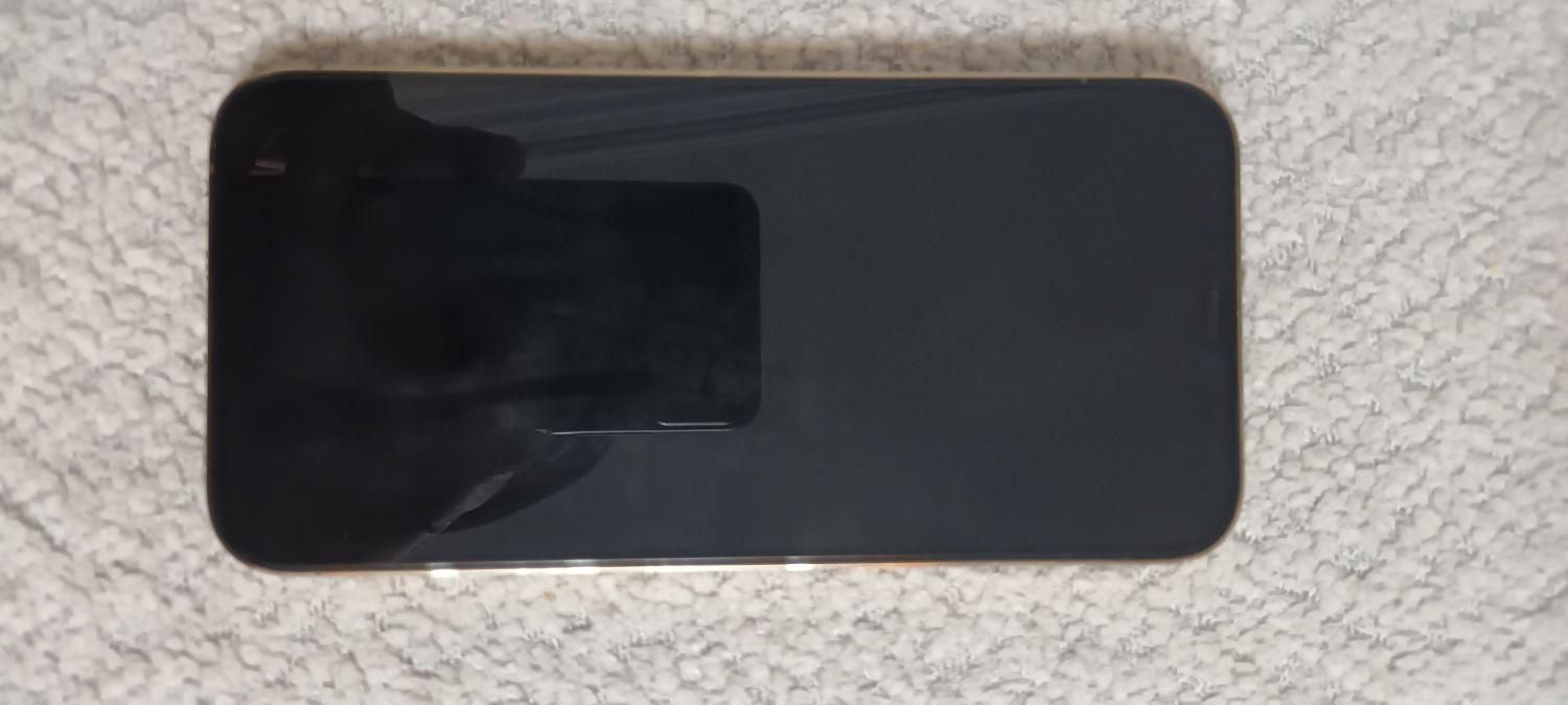 اپل iPhone 12 Pro Max با حافظهٔ ۲۵۶ گیگابایت|موبایل|کرج, مهرشهر - فاز ۵|دیوار