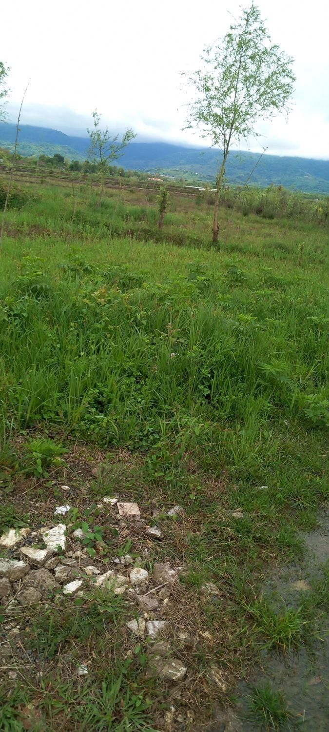 زمین تمام مسکونی تمام رویایی از املاک ابوالفضل|فروش زمین و ملک کلنگی|لاهیجان, کوی خزر|دیوار