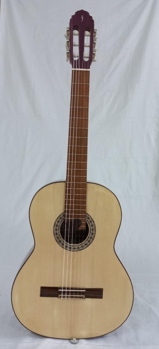 گیتار فلامنکو|گیتار، بیس، امپلیفایر|مشهد, انقلاب|دیوار