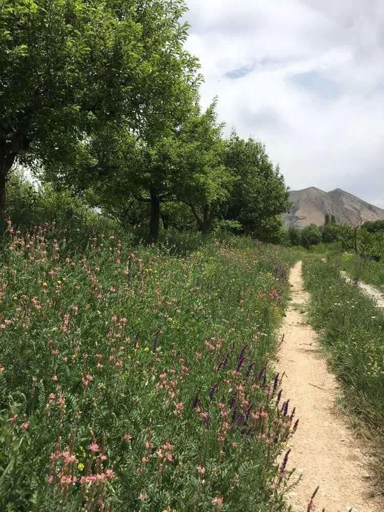 فروش استثنایی یک قطعه زمین باغی|فروش زمین و ملک کلنگی|ارجمند, |دیوار