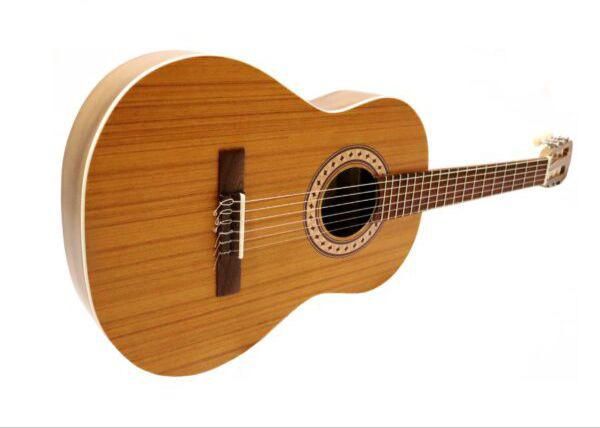 گیتار پارسی|گیتار، بیس، امپلیفایر|تهران, جمهوری|دیوار