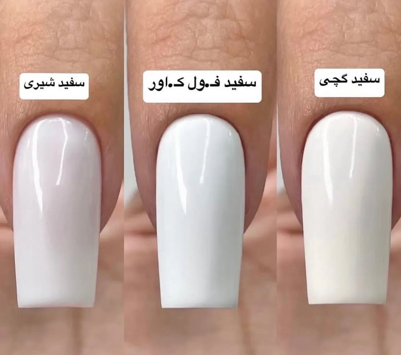 آموزش صفرتا صد کاشت ناخن تضمینی|خدمات آموزشی|کرج, مهرویلا شمالی|دیوار