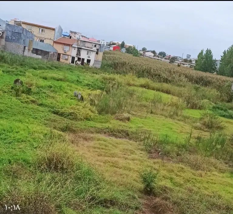 فروش چند قطعه زمین۲۰۰متر مربعی تفکیک شده .|فروش زمین و ملک کلنگی|رشت, کوی امام رضا|دیوار