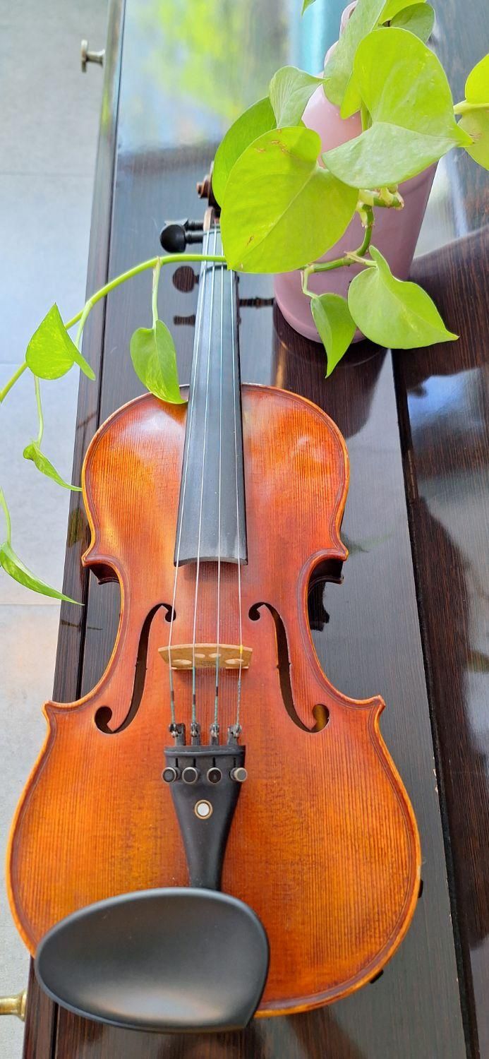 اموزش تخصصی ویولن ایرانی و کلاسیک|خدمات آموزشی|شیراز, معالی‌آباد|دیوار