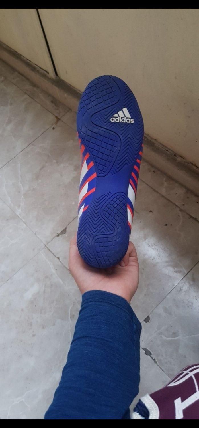 کتانی فوتسال آدیداس - کتونی Adidas|کیف، کفش، کمربند|رشت, گلسار|دیوار
