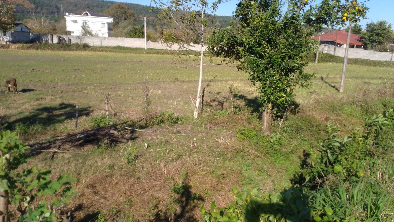 زمین مسکونی ۳۰۰متری سراوان بازارچه شهرستان|فروش زمین و ملک کلنگی|سنگر, |دیوار