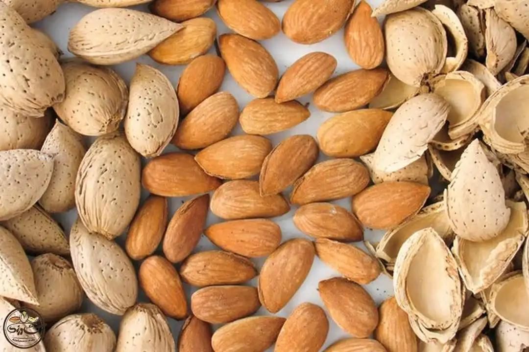 بادام سنگی|خوردنی و آشامیدنی|صوفیان, |دیوار