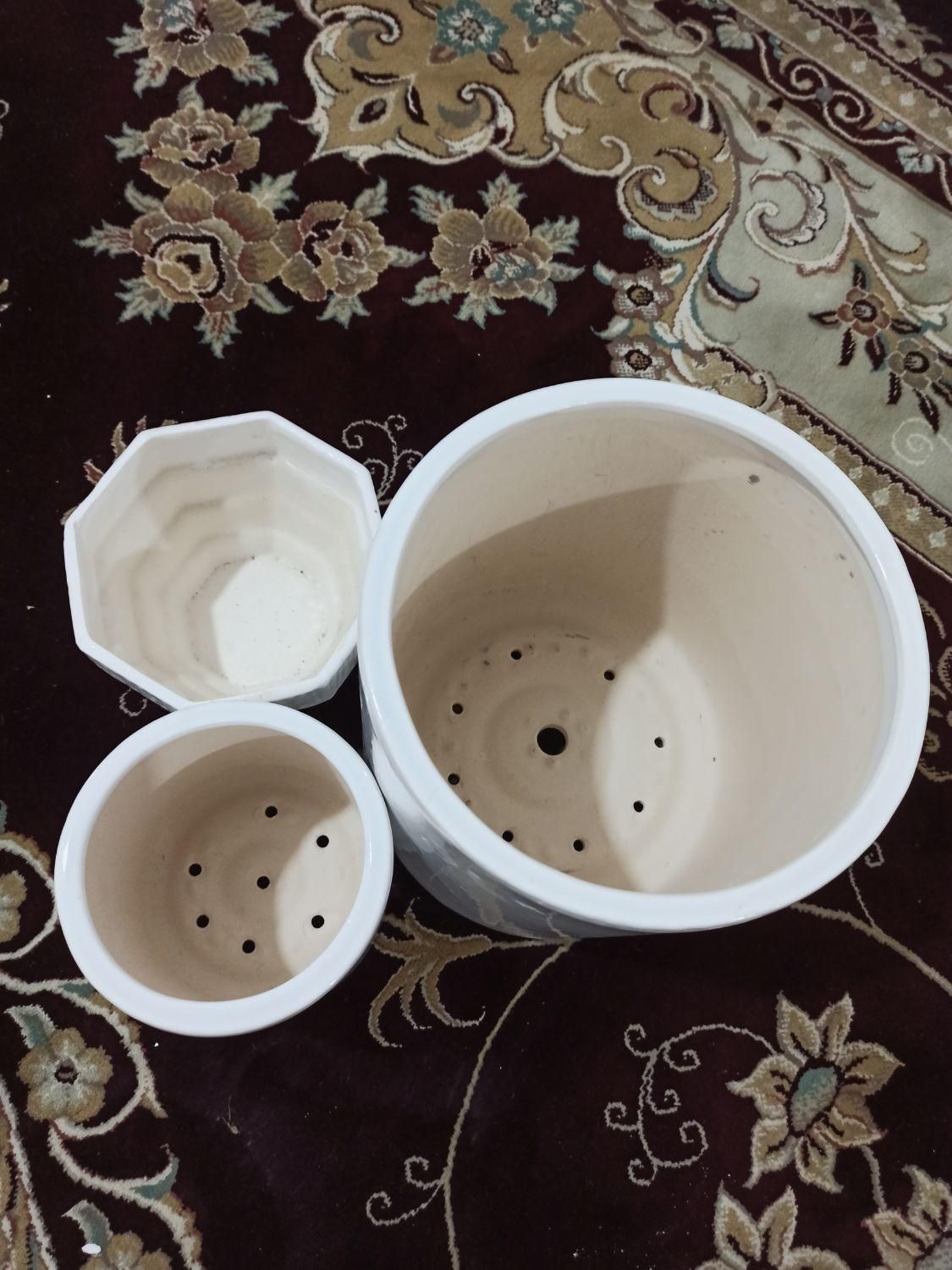 تعداد دو عدد گلدان نوو دوتا گلدان کوچیک استفاده شد|گل و گیاه طبیعی|اهواز, کوی رمضان|دیوار