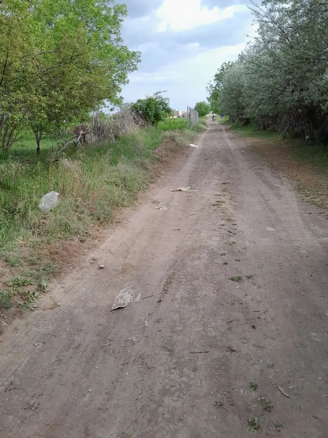 6 من محلی زمین کشاورزی واقع در روستای گوروان|فروش دفتر صنعتی، کشاورزی، تجاری|عجب شیر, |دیوار
