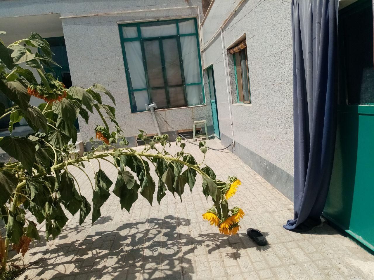 تصویر 3