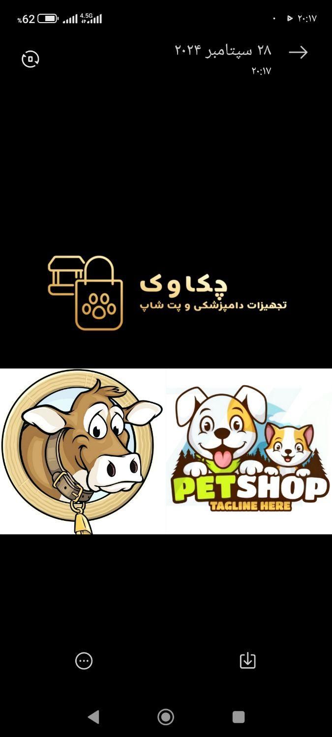 پت شاپ|لوازم جانبی حیوانات|شیراز, سینما سعدی|دیوار