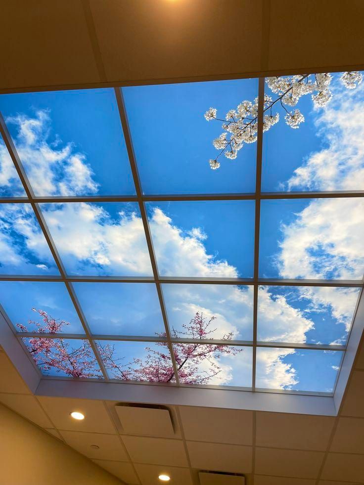 پخشواجرایکناف،کاغذدیواری،تیویوال،بین کابینت|خدمات پیشه و مهارت|قرچک, زیبا شهر|دیوار