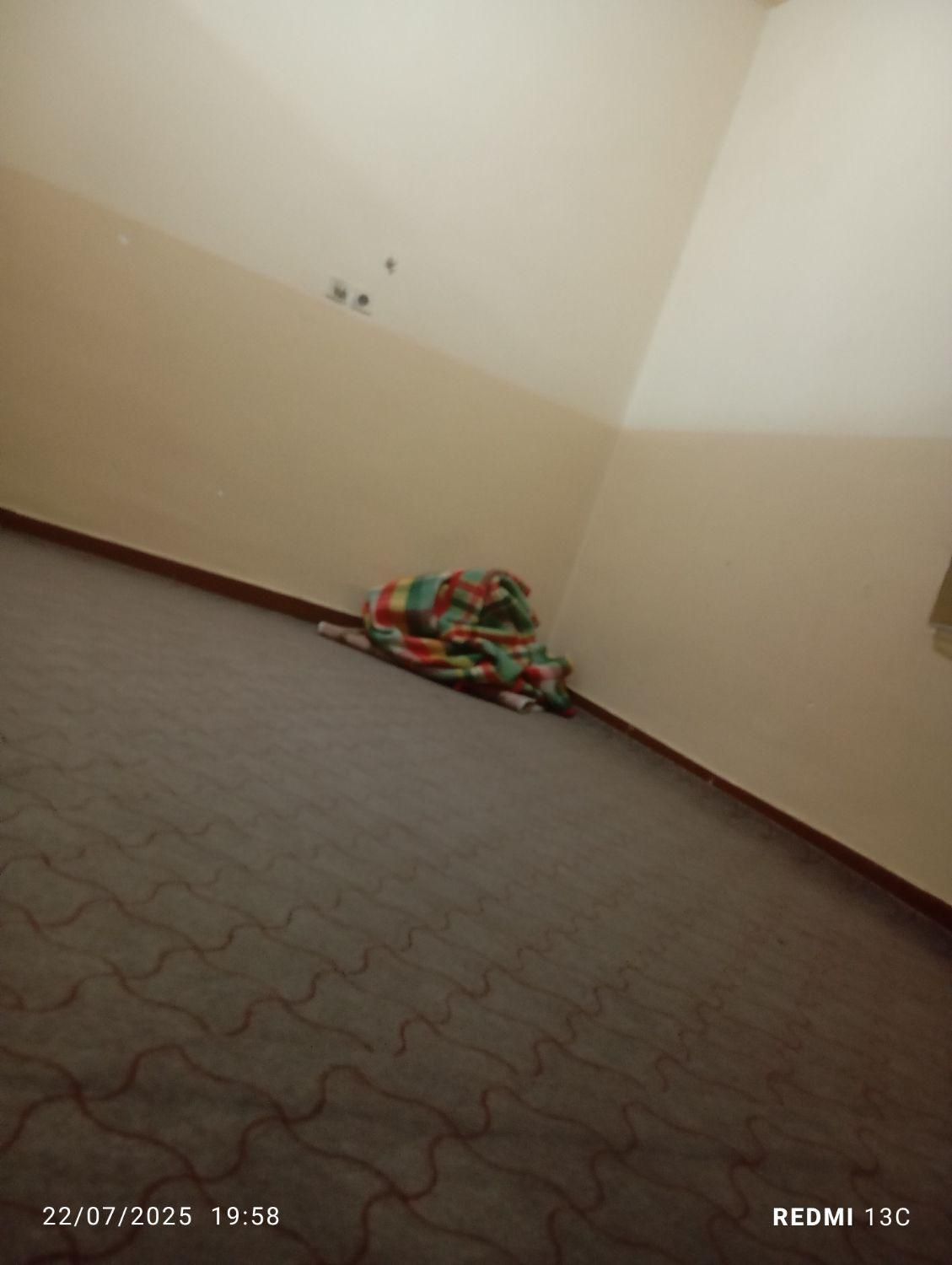 اجاره روزانه|اجارهٔ کوتاهمدت آپارتمان و سوئیت|میناب, |دیوار