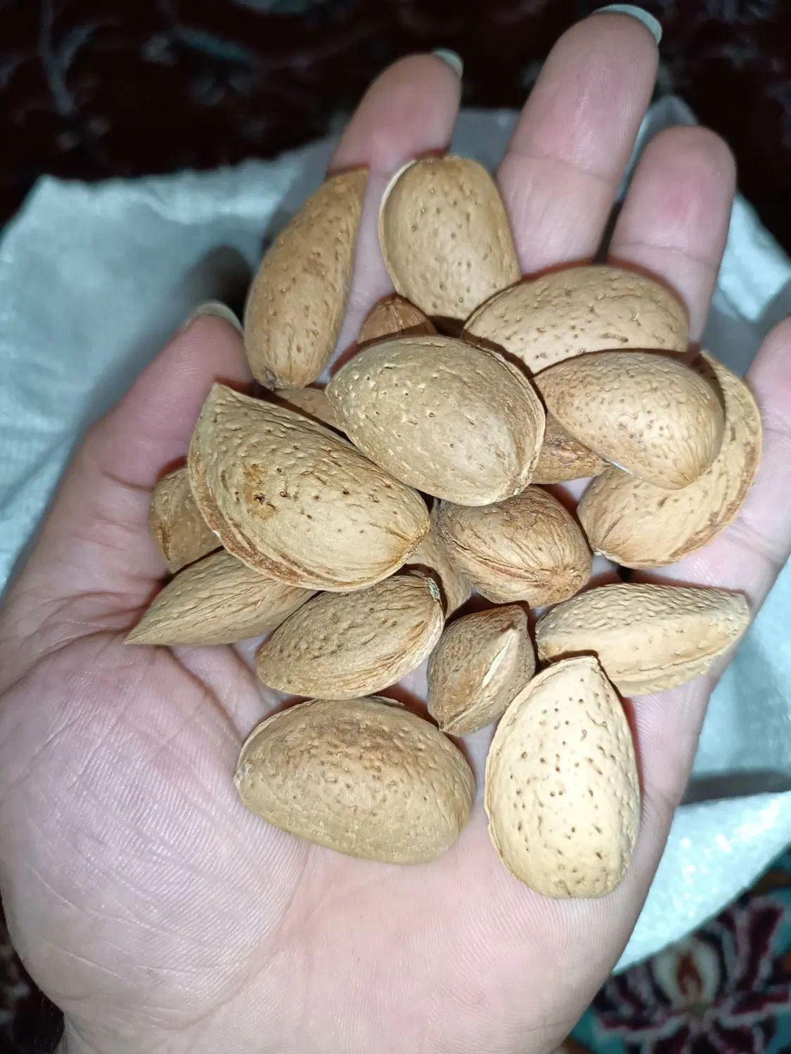 بادام سنگی شیرین ۱۰۰٪ اورگانیک|خوردنی و آشامیدنی|تهران, شهرک غرب|دیوار