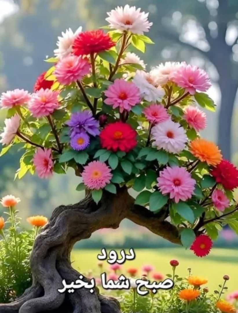 کارمند ساده|استخدام اداری و مدیریت|تهران, فردوسی|دیوار