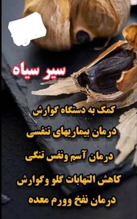 سیر سیاه اصل|خوردنی و آشامیدنی|شیراز, بهارستان|دیوار