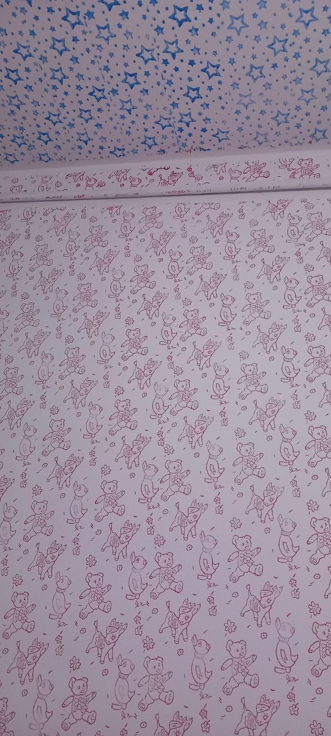 رنگ .نقاشی.گاغذ دیواری.ساختمان.سفید کاری|خدمات پیشه و مهارت|نظرآباد, نظرآباد|دیوار