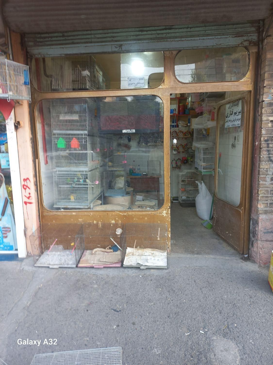 پرنده سرای بیزیم قناری در سیلاب قوشخانه|پرنده|تبریز, |دیوار