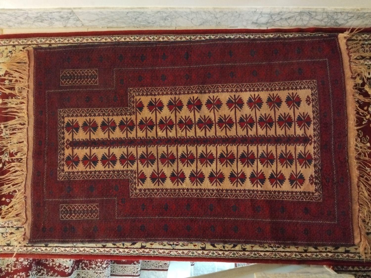 فرش دست باف خانه گی|فرش|تربت‌حیدریه, بی بی حسنیه|دیوار