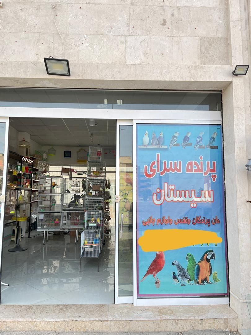 پرنده سرای سیستان|پرنده|گلبهار, شهر جدید گلبهار|دیوار