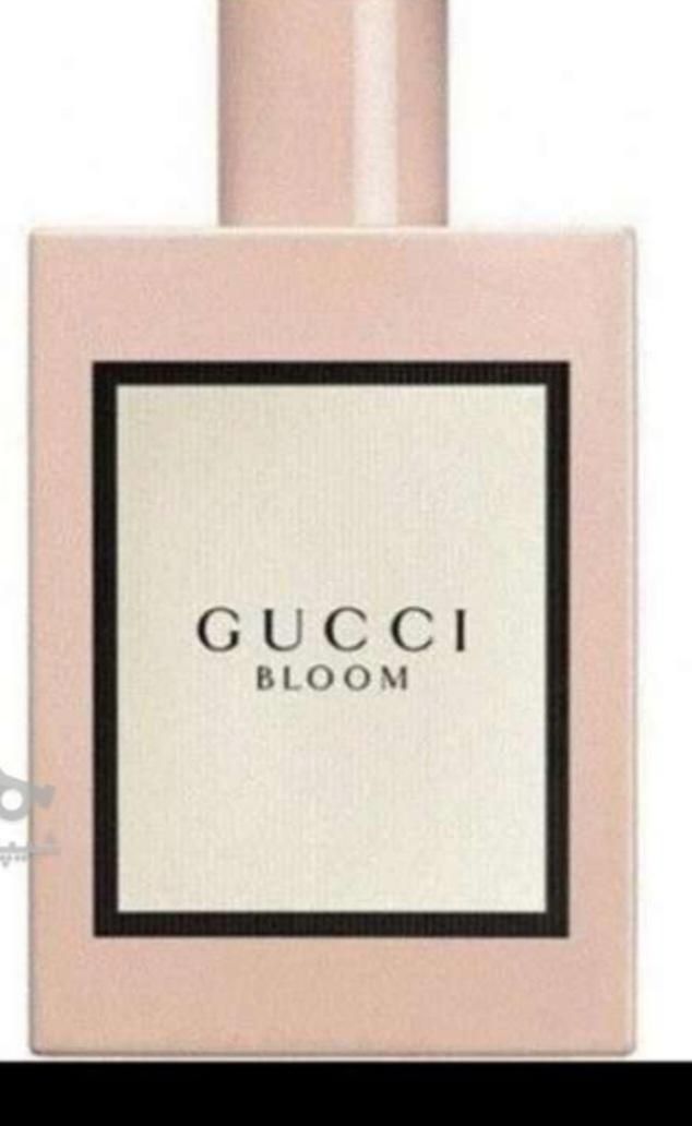 عطر اصل نصف قیمت بازار|آرایشی، بهداشتی، درمانی|شیراز, ابیوردی|دیوار