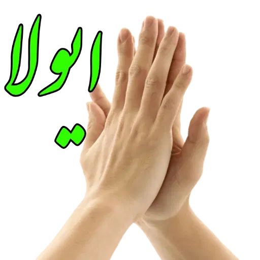 رسید کارت ملی و شناسنامه صدرا|اشیا|کرج, شاهین‌ویلا|دیوار